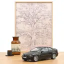 1:18 BMW E46 M3 3.0 CSL - 2003