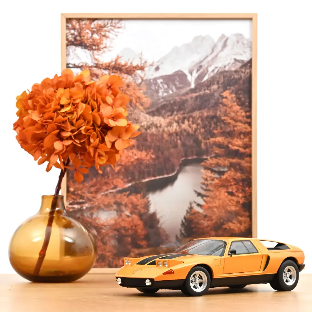 Mercedes-Benz C 111 / II - 1970 